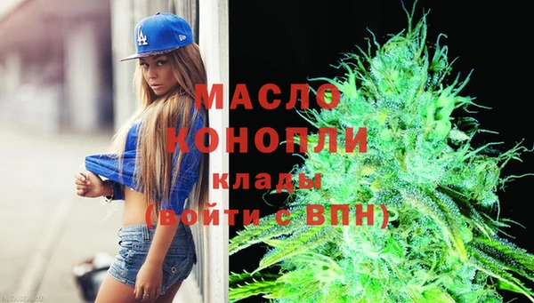 хмурый Няндома