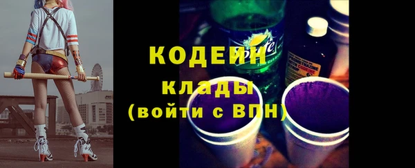 хмурый Няндома