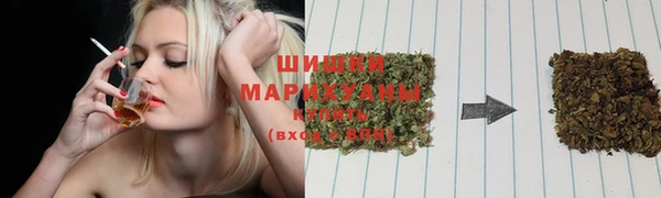 дмт Новозыбков