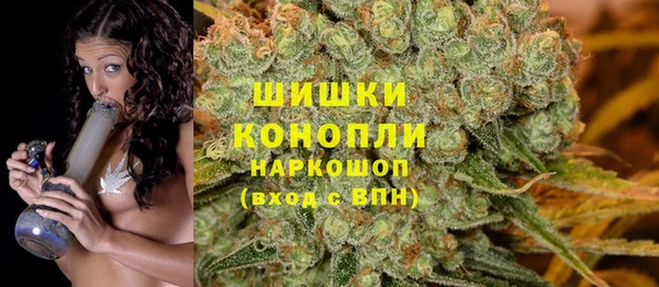 хмурый Няндома