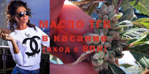 хмурый Няндома