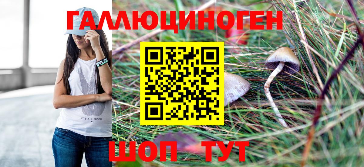 Галлюциногенные грибы прущие грибы  Дальнереченск 