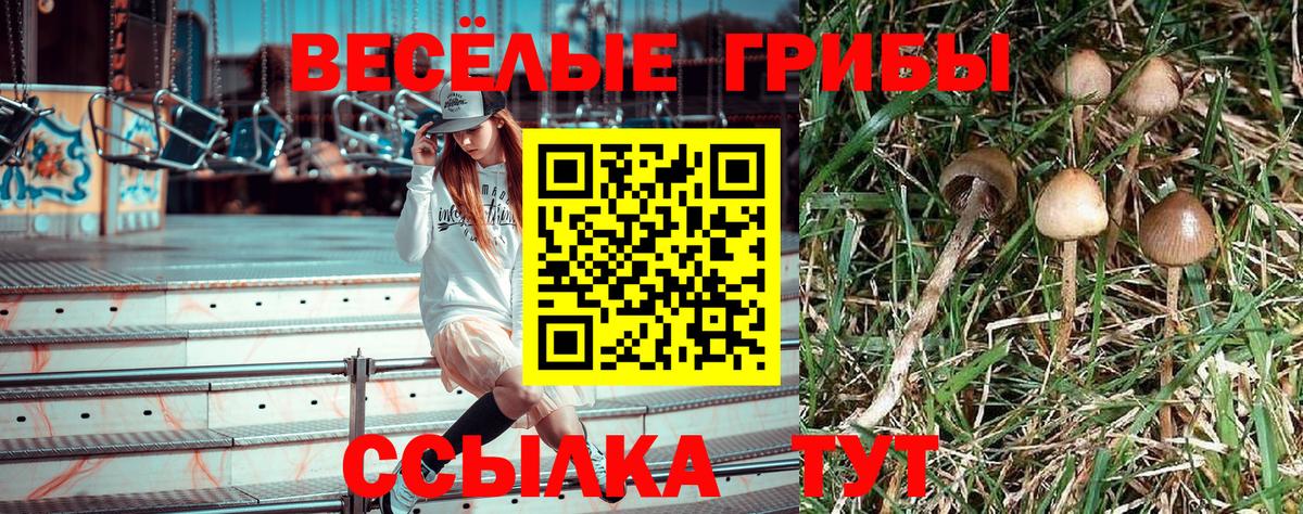 CBD масло  Дальнереченск  Вход с VPN  МЕФ  Мефедрон  Марки  COCAIN  Каннабис 